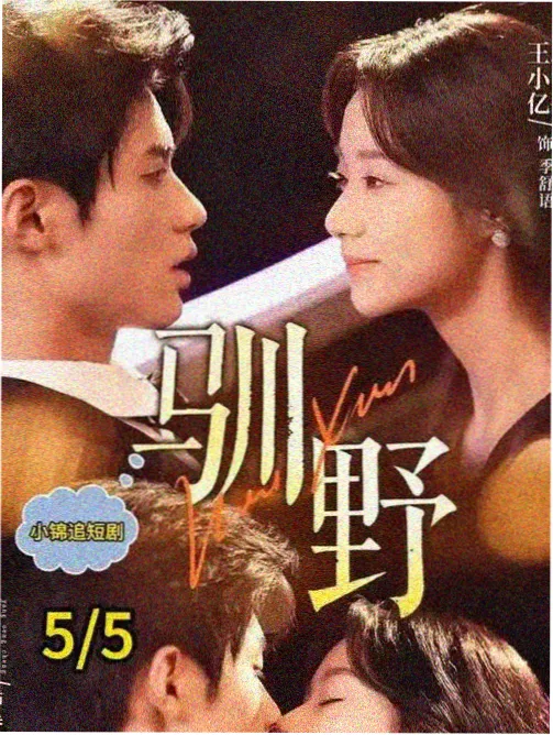 日韩伦理剧集排播模式变化资讯配图
